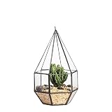 Six-surface Diamond shape Geometric Glass Terrarium Tabletop Succulent Plant Freestanding Hanging Flowerpot