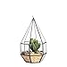 NCYP Hanging Glass Geometric Terrarium for Succulent Air Plants Flower, (4.5x4.5x8.66 Inches) Handmade Diamond Shape Display Planter Pot, Wedding Home Garden Tabletop Decor (No Plants)