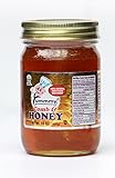 Honey, Yummmy Raw Honey with Comb, 16 Oz. (1 Lb.) Saw Palmetto Flower, Kosher Certified