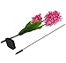 Samgo Outdoor Waterproof Solar Flower Battery Light Hyacinth for Garden, Balcony, Lawn Illumination (Pink)