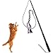 Sanzang Dog Toy Dog Outdoor Play Fun Interactive Chasing, Teaser and Exerciser, Extendable Length Interactive Wand (Size L,Black)