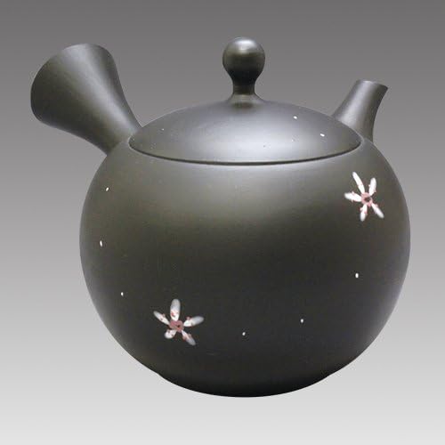 amazon envio estandar