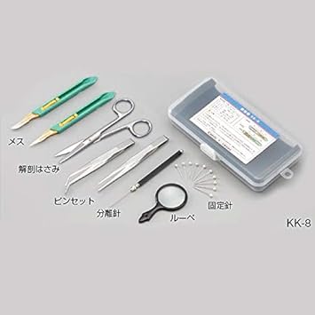 Amazon 解剖器 8点セット Kk 8 プラスチックケース入 授業 レッスン用副教材 文房具 オフィス用品