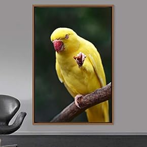 signwin Framed Canvas Wall Art Single Bird Birds...