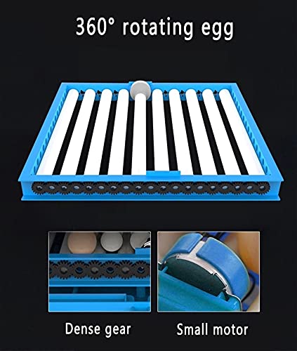 FHISD Eierinkubator und Hatcher, 256 Digitale Eier Inkubator Temperaturregelung Hatcher Automatische Hochleistungs… – Bild 6