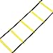 Physport Speed Ladder Soccer Training Agility Ladder with Carry Case Sport Tool