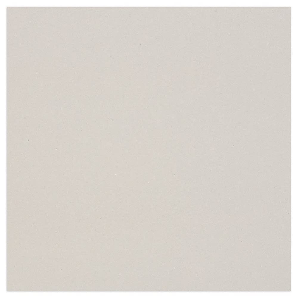 Clairefontaine - Ref 93981C - Recycled Grey Board (Pack of 10 Sheets) - 60 x 80cm Size, 1625gsm, 2.5mm Thick - Suitable for Framing, Mounting, Binding, Backing
