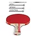 Table Tennis Ping Pong Set - Pack of 4 Premium Paddles/Rackets and 6 Table Tennis Balls - Soft Sponge Rubber - Ideal for Professional & Recreational Games - 2 or 4 Players - Perfect Set On The Go