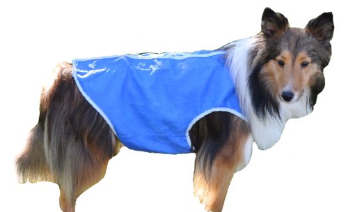 dog cool jacket