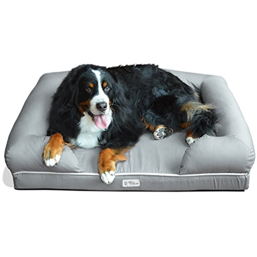 Dog Beds For Large Dogs With Hip Problems