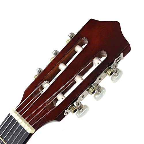 5 Strong+Wind+Classical+Beginner+Students