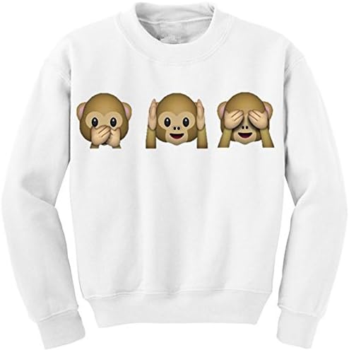 LAISIYI Autumn Fleece Cute Print Casual Sweater Pullover (Small, Monkey)