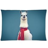 1 X Hipster Llama Lama Pillowcase - Pillowcase with Zipper, Pillow Protector Cover Cases - Standard Size 20x30 inches, One-sided Print