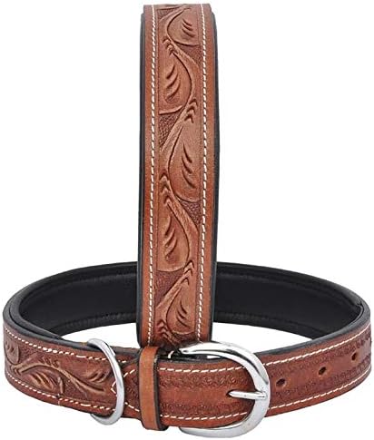 Wonder Wish Leather Collar Neck Belt for Dogs, Large tan(Large)