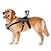 Dog Harness, Back Mount for GoPro Hero 4/3+/3/2/1 SJCAM Sj5000+ Sj4000, Pet Chest Strap with Two Camera Mounts for Medium and Large-size Dogs, Sports Camera Accessories Bundle