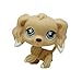 Vibola Pet Shop Action Figure Animal Cartoon || Flower Eyes Dog Doll || Collection Littlest Cute Toy for Kids Child Girl
