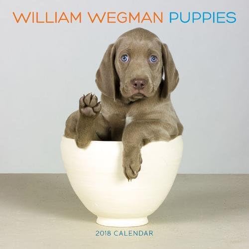 William Wegman Puppies 2018 Wall Calendar Calendar – Wall Calendar, 8 Aug. 2017