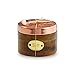 Mud Pie Salt and Pepper Set, Copper