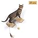 BIG NOSE - Wall Mount Cat Floating Steps Shelves Scratching Post with Leaser Feather and Fluffly Ball