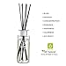 Creative Scents Classic Breeze Reed Diffuser - Diffuser Sticks - Oil Diffuser & Reed Diffuser Sticks in Gift Box, Grade Oils Blend, Natural Scent Diffuser, Fragrance and Gifts, 150 ML/5 Oz.