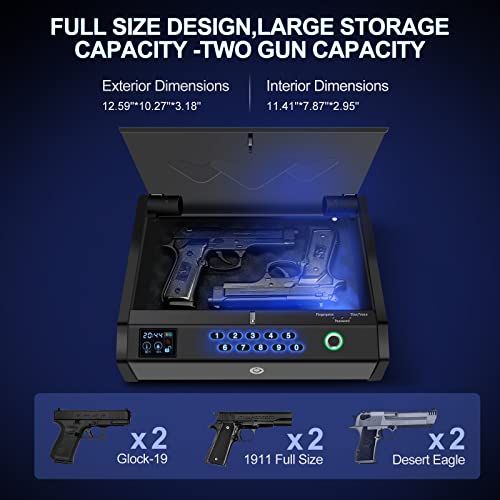 HOLEWOR Gun Safe,Biometric Gun Safes for Pistols with LCD Display of Temperature Humidity,Time