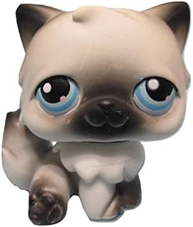 lps sitting down cat