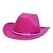 Dazzling Toys Cowgirl Pink Hat Child Country Pink Felt Costume Hat