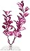 GloFish 19264 Moneywort Plant, Medium, Pink