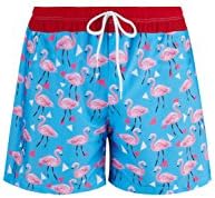 Trifuness Mens Flamingo Swim Trunks Quick Dry Board Shorts Cute Bathing Suit