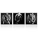 Kreative Arts - The Naked Man Male Sexy Gay Canvas Prints Body Art Muscular Fitness Coach Picture Gym Poster Portrait Painting for Home Bedroom Wall Art Decoration (16x16inchx3pcs)