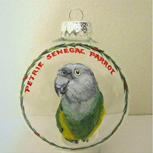 BYRON-HOYLE-Senegal-Papegaai-Ornament-Aangepaste-Huisdier-Portret-s-Vogel-Kunst-Papegaai-Kerstbal-Huisdier-Memorial-Vogel-Decor-Voliere-Kunst-Kerstboom-Bal-Ornamenten-Onbreekbaar-Xmas-Decor-Vakantie-d