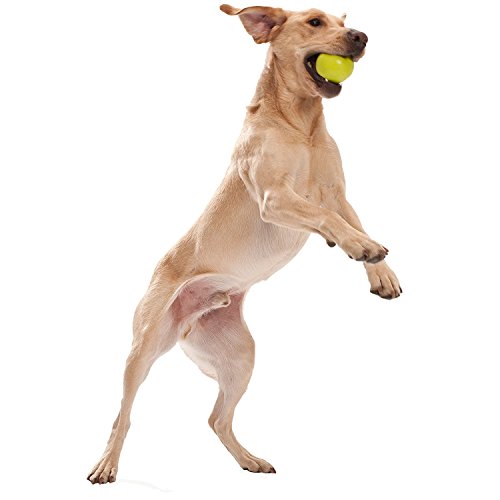 West Paw Zogoflex Jive Durable Nearly Indestructible Dog Ball Chew-Fetch-Play Dog Toy, 100% Guaranteed Tough, It Floats!, Made in USA, Small 2.6-Inch, Granny Smith - Thumbnail 3