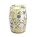 Accent Plus Butterfly Garden Ceramic Stool 13x13x19