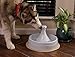 Drinkwell 360 Degree Free Falling Pet Fountainthumb 4