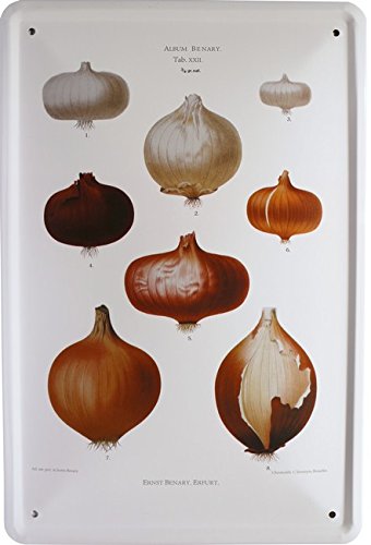 Tin Sign with Overview Bulbs Album Benari XXII Advert Design 20 x 30 cm 1111