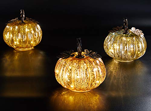 denlix Mercury Glass Pumpkin Lights Fall Decor, Battery Operated LED Timer 5.5 Inches Decorative Pumpkins, Fall Centerpieces for Tables Decorations
