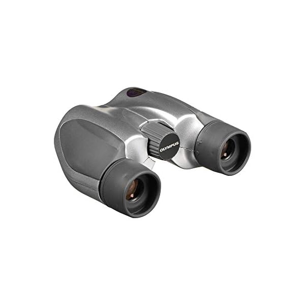Olympus 8x21 DPC-I Fernglas Silber mit Tasche
