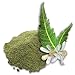 Silk & Stone Neem Powder (Azadirachta Indica)- 100g. Antibacterial, Anti-fungal, Germicidal, and Dandruff Control. Great for Skin and Hair.