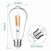LEDERA ST64 Vintage LED Edison Bulbs Dimmable, Equivalent 60W, Warm White 2700K, Antique LED Filament Bulbs,E26 Medium Base, 600lm, 2700K Warm White, Clear Glass (6-Pack)