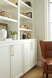 Amerock | Cabinet Pull | Brushed Gold/Satin Nickel
