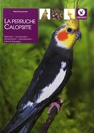 La  perruche calopsitte