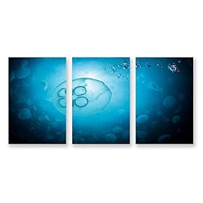 3 Panel Jellyfish in Deep Sea Pictures Home...