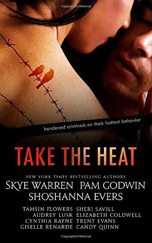 Take the Heat: A Criminal Romance Anthology