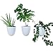 PlantPod Luxe Self-Watering Wall Planters (Set of 3) - Easy to Water and Install - Lightweight - Design Your Own Vertical Garden - Wall Planters for Indoor Plants
