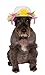 Rubie's Kentucky Derby/Easter Bonnet Hat for Pets, Medium/Large