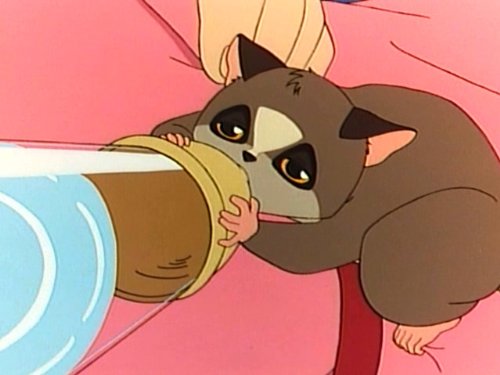 Amazon Co Jp 大草原の小さな天使 ブッシュベイビーを観る Prime Video