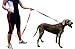 Dog Training Leash 8 Ft Long Heavy Duty Red Lead For Dogs with Soft Padded Handle For Comfort