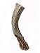 WhiteTail Naturals - Deer Antlers for Large Dogs - (1 Pack - Extra Large) - All Natural Dog Antler- Naturally Shed, Long Lasting Chew Bone, Crafted in USA for Aggressive Chewers
