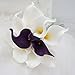 Lily Garden Mini 15