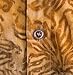 Johari West Men's Button-Down Short Sleeve Shirt, Autumn Gold, (Gold, X-Large)